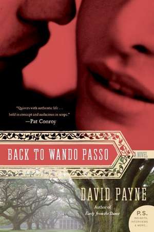 Back to Wando Passo: A Novel de David Payne