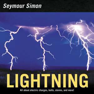 Lightning de Seymour Simon