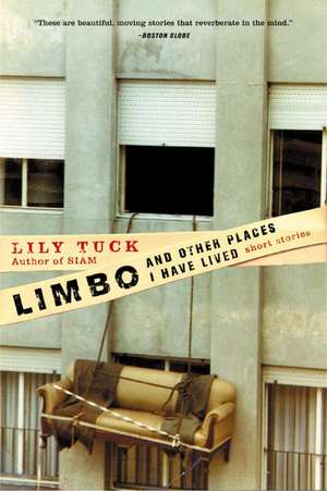 Limbo, and Other Places I Have Lived: Short Stories de Lily Tuck