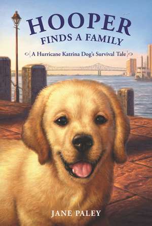 Hooper Finds a Family: A Hurricane Katrina Dog's Survival Tale de Jane Paley