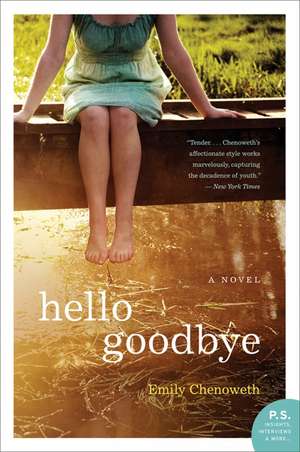 Hello Goodbye: A Novel de Emily Chenoweth