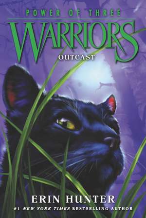 Outcast: Warriors: Power of Three vol 3 de Erin Hunter