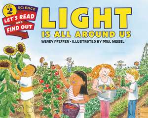 Light Is All Around Us de Wendy Pfeffer