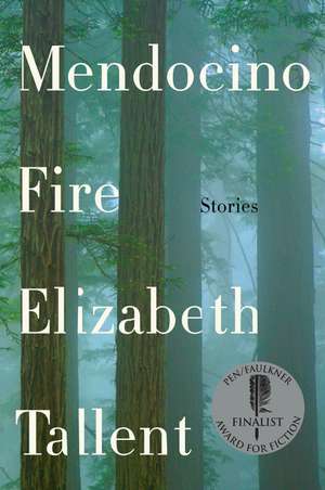 Mendocino Fire: Stories de Elizabeth Tallent