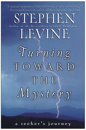 Turning Toward the Mystery: A Seeker's Journey de Stephen Levine