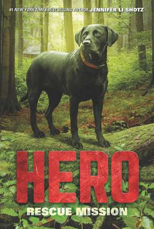 Hero: Rescue Mission de Jennifer Li Shotz