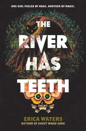 The River Has Teeth de Erica Waters