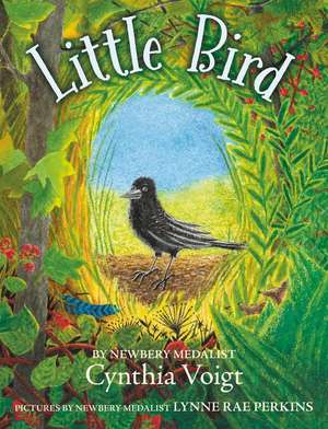 Little Bird de Cynthia Voigt