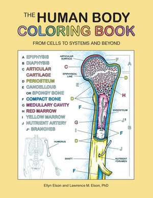 The Human Body Coloring Book: From Cells to Systems and Beyond de Coloring Concepts Inc.