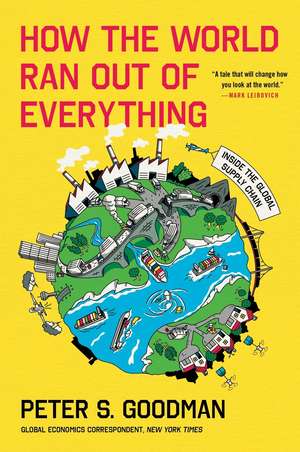 How the World Ran Out of Everything de Peter S Goodman