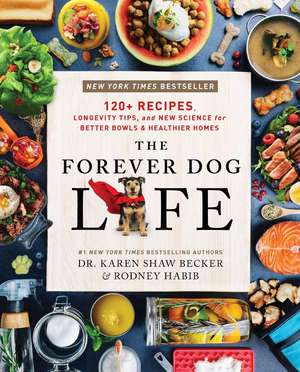 The Forever Dog Life de Rodney Habib