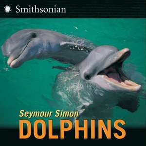Simon, S: Dolphins