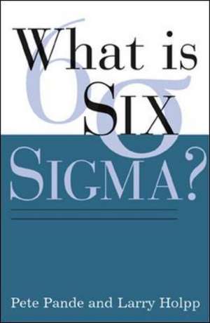 What Is Six Sigma? de Peter Pande