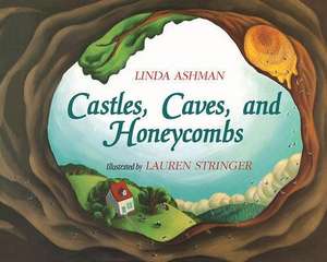 Castles, Caves, and Honeycombs Little Book