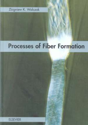 Processes of Fiber Formation de Z.K. Walczak