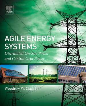 Agile Energy Systems: Global Distributed On-Site and Central Grid Power de Woodrow W. Clark II