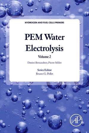 PEM Water Electrolysis de Dmitri Bessarabov