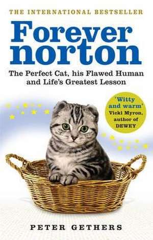 Gethers, P: Forever Norton de Peter Gethers