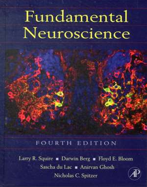 Fundamental Neuroscience de Larry Squire