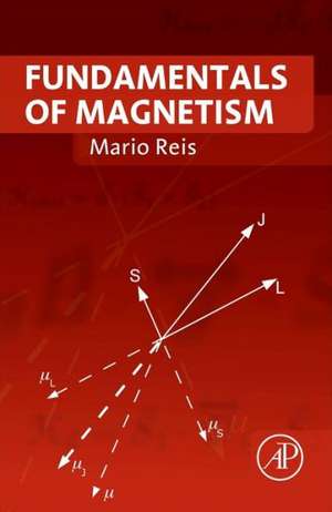 Fundamentals of Magnetism de Mario Reis