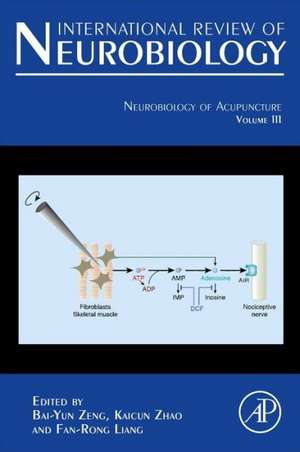 Neurobiology of Acupuncture de Bai-Yun Zeng