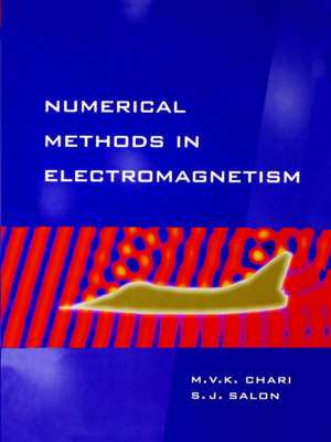 Numerical Methods in Electromagnetism de Sheppard Salon