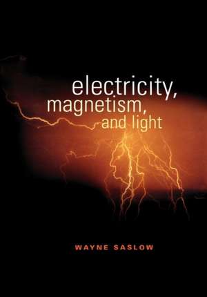 Electricity, Magnetism, and Light de Wayne M. Saslow