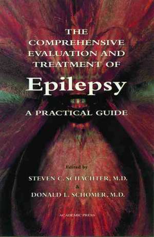 The Comprehensive Evaluation and Treatment of Epilepsy: A Practical Guide de Steven C. Schachter