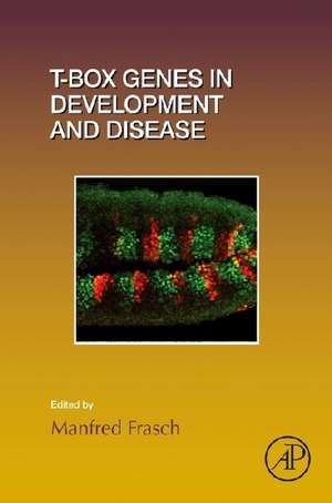 T-box Genes in Development and Disease de Manfred Frasch