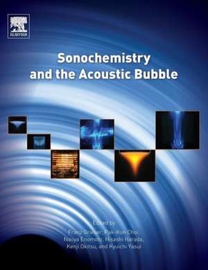 Sonochemistry and the Acoustic Bubble de Franz Grieser