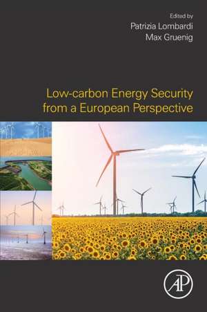 Low-carbon Energy Security from a European Perspective de Patrizia Lombardi