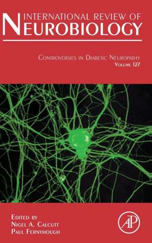 Controversies In Diabetic Neuropathy de Nigel Calcutt