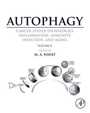 Autophagy: Cancer, Other Pathologies, Inflammation, Immunity, Infection, and Aging de M. A. Hayat