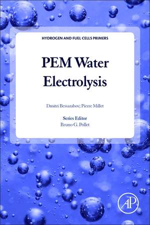 PEM Water Electrolysis de Dmitri Bessarabov