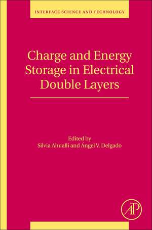 Charge and Energy Storage in Electrical Double Layers de Silvia Ahualli