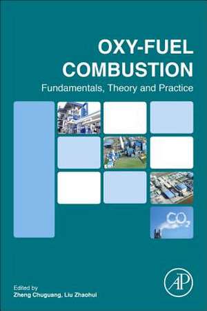 Oxy-fuel Combustion: Fundamentals, Theory and Practice de Chuguang Zheng