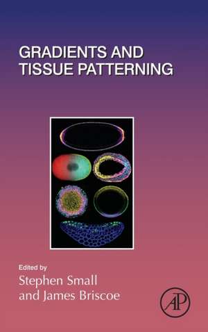 Gradients and Tissue Patterning de Stephen Small