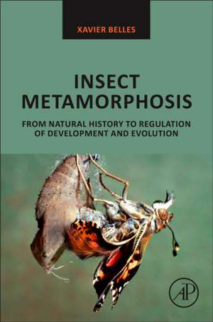 Insect Metamorphosis: From Natural History to Regulation of Development and Evolution de Xavier Belles