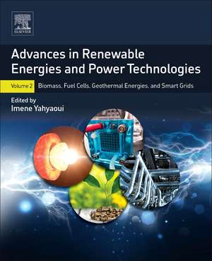 Advances in Renewable Energies and Power Technologies: Volume 2: Biomass, Fuel Cells, Geothermal Energies, and Smart Grids de Imene Yahyaoui