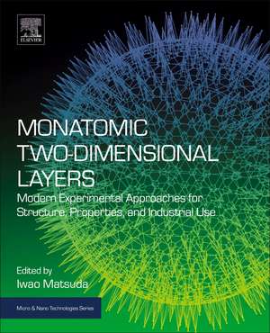 Monatomic Two-Dimensional Layers: Modern Experimental Approaches for Structure, Properties, and Industrial Use de Iwao Matsuda