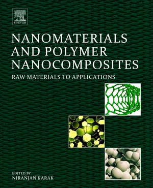 Nanomaterials and Polymer Nanocomposites: Raw Materials to Applications de Niranjan Karak