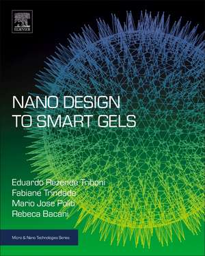 Nano Design for Smart Gels de Rebeca Bacani