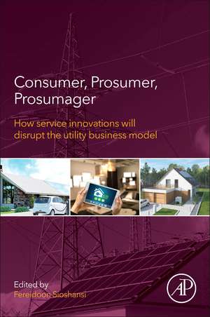 Consumer, Prosumer, Prosumager: How Service Innovations will Disrupt the Utility Business Model de Fereidoon Sioshansi