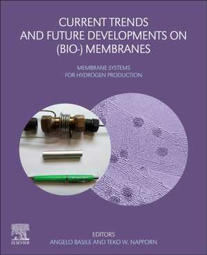 Current Trends and Future Developments on (Bio-) Membranes: Membrane Systems for Hydrogen Production de Angelo Basile