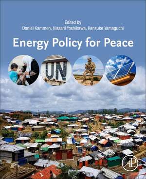 Energy Policy for Peace de Daniel Kammen