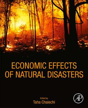 Economic Effects of Natural Disasters: Theoretical Foundations, Methods, and Tools de Taha Chaiechi