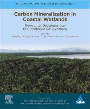 Carbon Mineralization in Coastal Wetlands: From Litter Decomposition to Greenhouse Gas Dynamics de Xiaoguang Ouyang