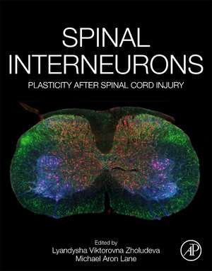 Spinal Interneurons: Plasticity after Spinal Cord Injury de Lyandysha Viktorovna Zholudeva