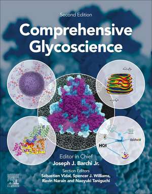 Comprehensive Glycoscience de Joseph J Barchi Jr