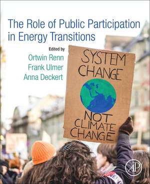 The Role of Public Participation in Energy Transitions de Ortwin Renn